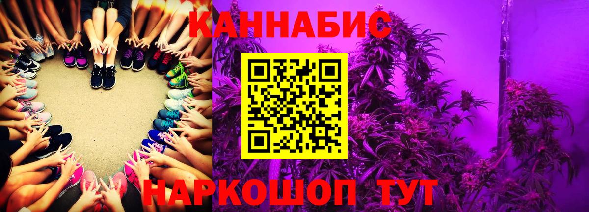 Шишки марихуана Amnesia Курчалой